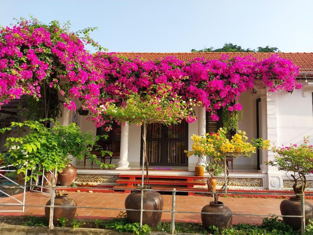 Nha Xanh Homestay Ninh Bình Extérieur photo