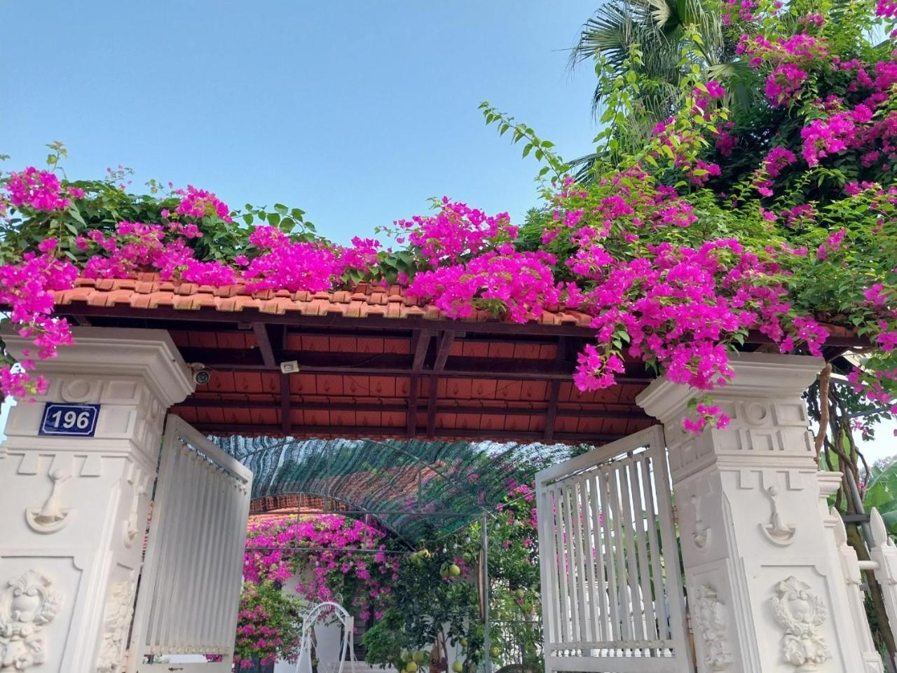 Nha Xanh Homestay Ninh Bình Extérieur photo