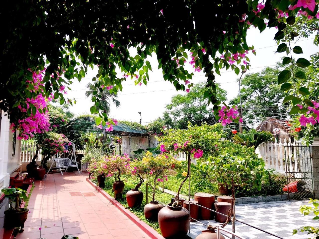 Nha Xanh Homestay Ninh Bình Extérieur photo